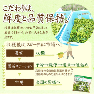 【先行予約】 令和8年産 枝豆 上杉まめ 秘伝 250g × 8袋 計2kg 1箱 2026年9月中旬～下旬頃 お届け予定 山形県 米沢市