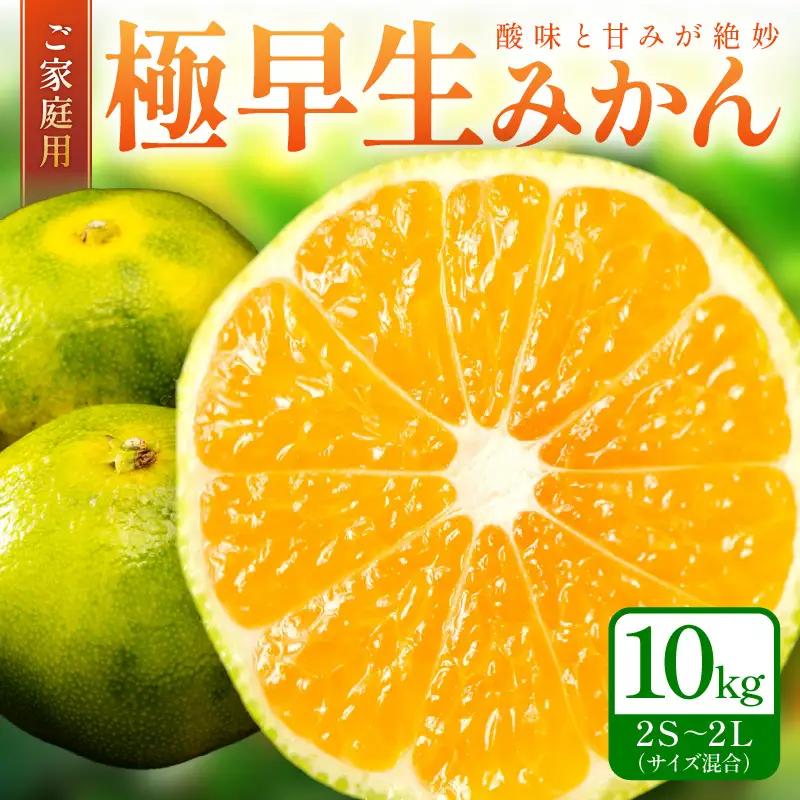 極早生みかん(ご家庭用） 10kg 和歌山産《先行予約》みかん【0150-5】 