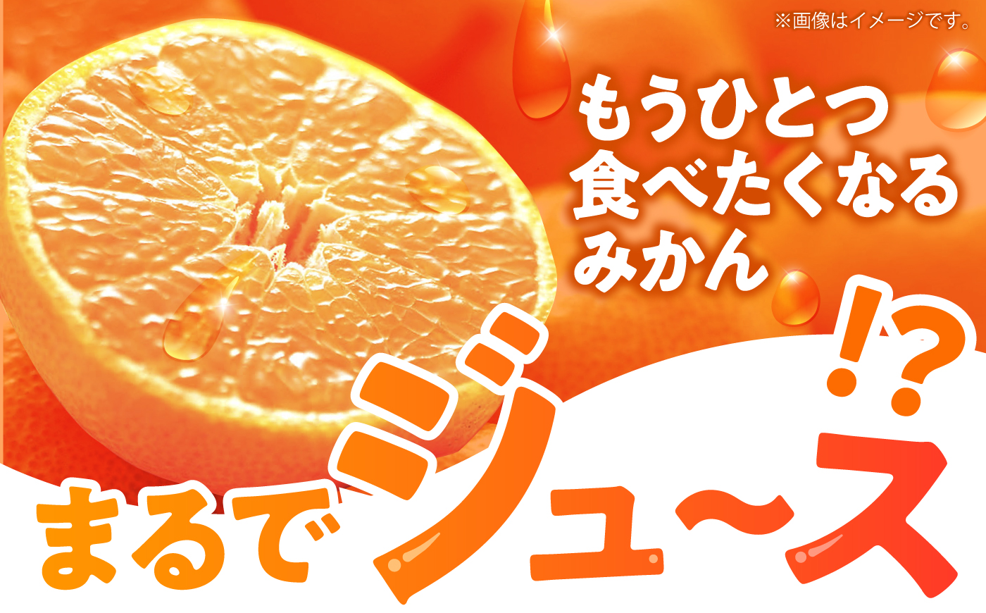 【2回定期便】伊木力温州みかん3kg (ご家庭用、箱入り) / 伊木力 温州みかん みかん ミカン 蜜柑 佐瀬 諫早 多良見 長崎 / 末永果樹園 [AHBD008]