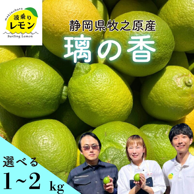 【ふるさと納税】 牧之原産 波乗りレモン 璃の香 選べる 内容量 1〜2kg 国産 Lemon 檸檬 ご家庭用 柑橘類 柑橘 フルーツ 果物 酸っぱい 果肉 酸味 甘み 防腐剤不使用 静岡県 牧之原市 ギフト レモネード レモンケーキ