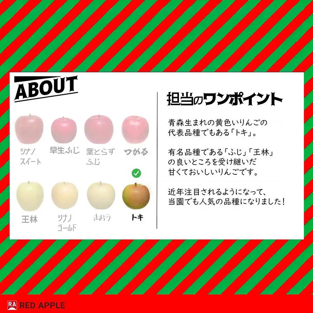 【26年10月～発送】りんご【訳あり】家庭用 トキ 約10kg 先行受付