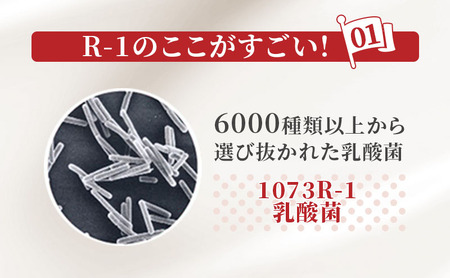 【12ヶ月連続でお届け】明治プロビオヨーグルトR-1ドリンクタイプ