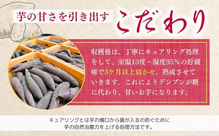 【定期便3回】【個包装】焼き芋 ねっとり甘い 国産 紅はるかの冷凍石焼き芋 1.8kg(180g×10袋) 