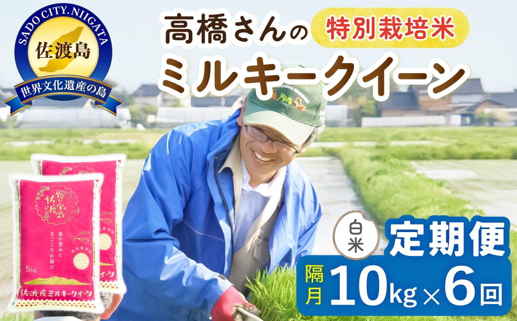 
                  【定期便 令和8年産新米 全6回】 佐渡島産ミルキークイーン 白米 10kg 令和8年産新米 特別栽培米 高橋農園 | 新潟県産ミルキークイーン 佐渡産ミルキークイーン ミルキークイーン お米 米 白米 精米 おこめ コメ 10キロ にいがた さど 新潟県 佐渡市
                