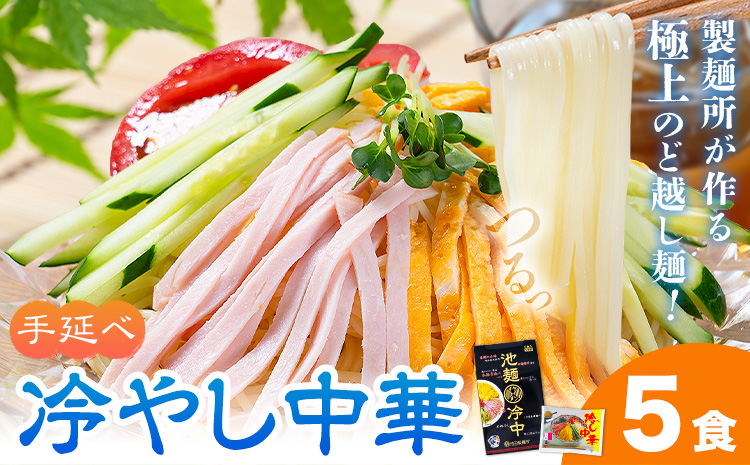 冷やし中華 5食セット(麺80g×5束、スープ5袋) スープ付き 池田製麺所《30日以内に出荷予定(土日祝除く)》岡山県 矢掛町 中華麺 手延べ 冷やし中華専用麺 送料無料