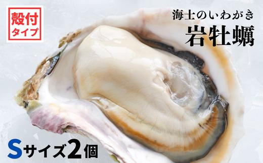 
【海士のいわがき】殻付き Sサイズ 2個 岩牡蠣 生食可 新鮮クリーミー 冷凍 牡蛎 牡蠣 かき カキ 岩牡蠣 いわがき CAS CAS冷凍 父の日 母の日 バーベキュー ギフト
