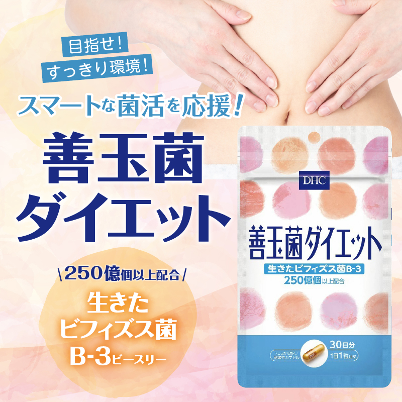 DHC サプリメント 善玉菌ダイエット 30日分 3ヶ月分セット（a1354）