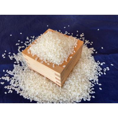 ふるさと納税 池田町 風さやか　白米3.3kg