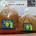 【ふるさと納税】国産青豆倍糀味噌 計5kg (1kg×5袋)