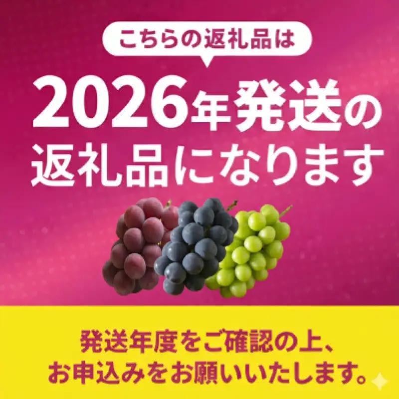 【2026年8月から発送】【先行予約】 2026年発送 旬のぶどう食べ比べお試しセット|ぶどう RYE