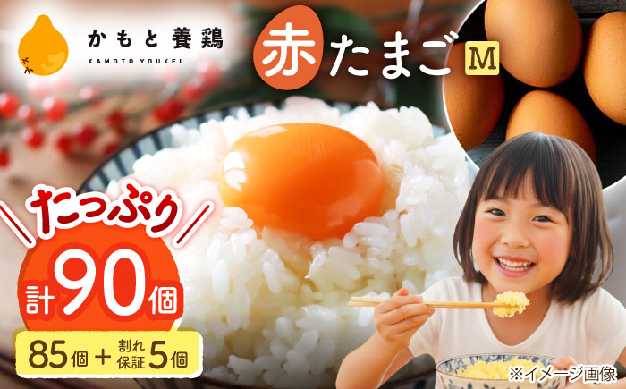 赤たまご M玉 90個（85個＋5個割れ保証）【株式会社 かもと養鶏】 [ZCA002]