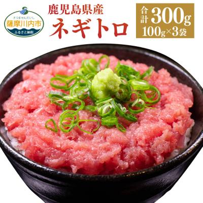 ふるさと納税 薩摩川内市 本マグロ100%のネギトロ約4人前 合計300g  ss0308