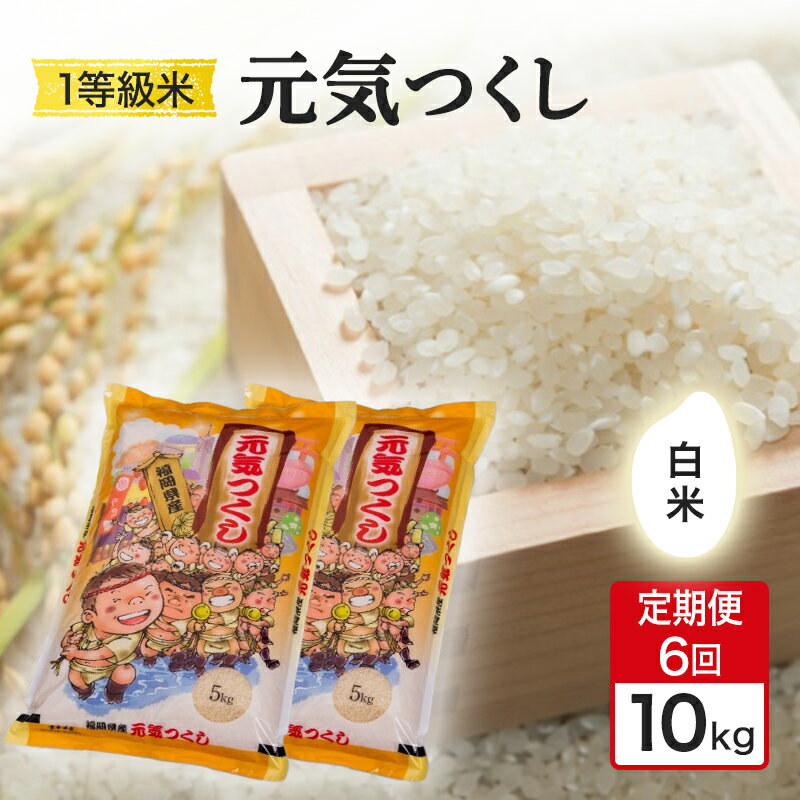 【ふるさと納税】定期便 6回 米 1粒からこだわる 1等級米 元気つくし 白米 10kg お米 コメ お楽しみ 6ヶ月 令和7年度産