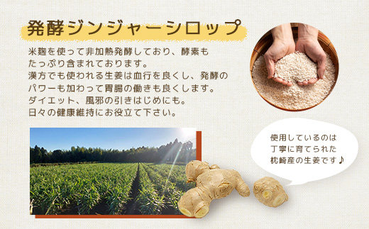 【のし付き・お中元】発酵ジンジャーシロップ(150g×3)【優しい甘さの生姜シロップ】A7−12C【配送不可地域：離島】【1508327】