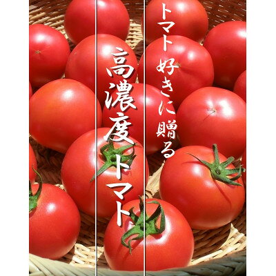 【ふるさと納税】完熟トマト 1.5kg 11玉前後 栽培期間中農薬不使用 岩手県遠野市 遠野もぐもぐカントリー【配送不可地域：離島】【1763111】