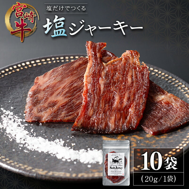 【ふるさと納税】塩だけでつくる 宮崎牛 塩ジャーキー 10袋（20g×10袋）ブランド牛 ビーフジャーキー おつまみ 珍味 グルメ 干し肉 宮崎県産