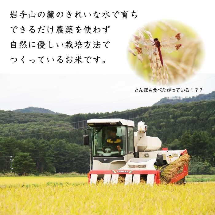 【 2026年 11月より発送開始】 岩手県産 新米 ひとめぼれ 玄米 5kg 2袋 総量 10kg 3ヶ月 定期便 【わかふじ農産】 米 お米 こめ コメ ライス ご飯 ごはん 贈り物 単一原料米 
