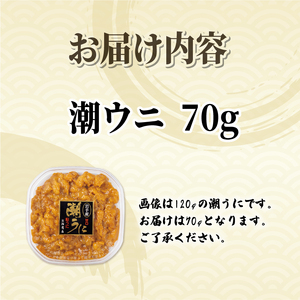 潮ウニ 70g 冷凍 ＼ うに ／