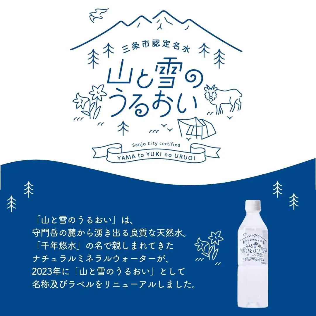 ナチュラルミネラルウォーター 山と雪のうるおい 500ml×24本 軟水 防災グッズ