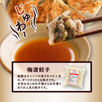 オーソドックスな餃子5袋セット