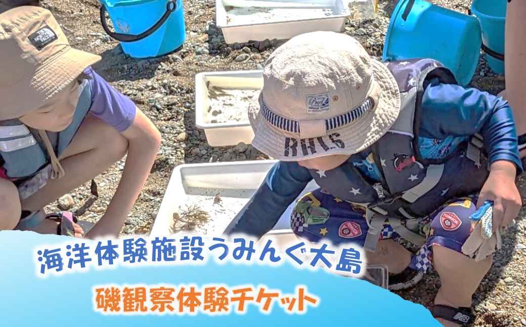 海洋体験施設うみんぐ大島 磯観察1名様分【(株)むなかた大島】_AS2026-00 体験 チケット 福岡県宗像市 宗像市 福岡 宗像