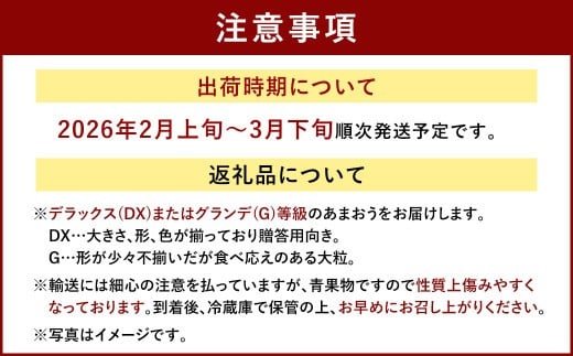 福岡産【春】 あまおう 4パック いちご 苺 果物 フルーツ 福岡 太宰府