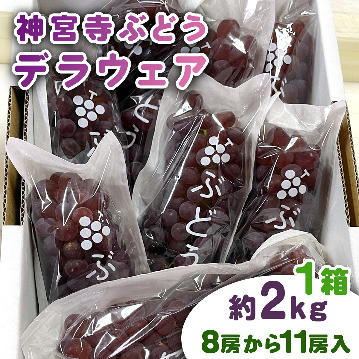 【ふるさと納税】ブドウ 葡萄 ぶどう 神宮寺ぶどう デラウェア約2kg×1箱｜ブドウ 葡萄 ぶどう 神宮寺ぶどう 織姫の里からの贈り物 [0669]