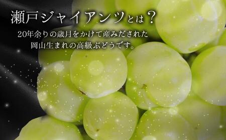 ＜2025年発送分 先行予約＞梅村ファーム 朝摘み直送 瀬戸ジャイアンツ（3房～5房入り 約2kg）【030-a013】