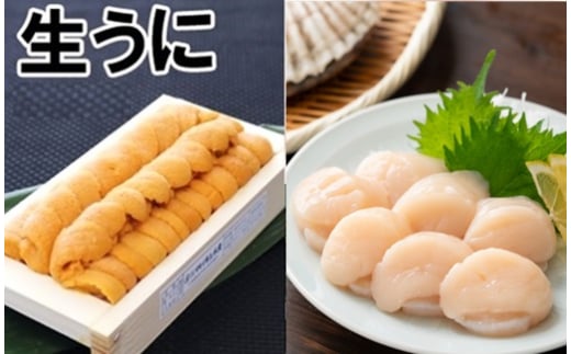 D-71061【年内配送可】 エゾバフンウニ100g×1折、お刺身ホタテ貝柱500g×1P[11月中旬以降発送]