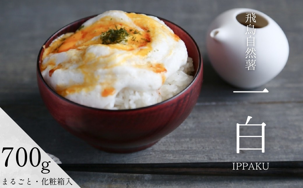 
                  【11月末頃～3月下旬発送】飛鳥自然薯　『一白　IPPAKU』（約700g×1箱）
                