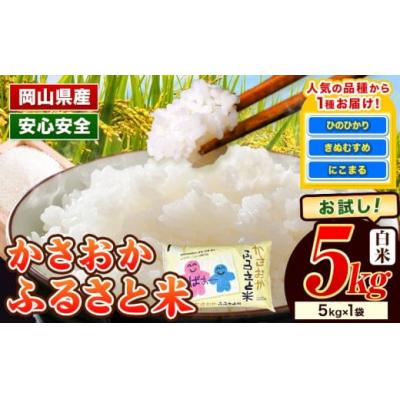 ふるさと納税 笠岡市 【令和8年5月発送】令和7年産 備中笠岡ふるさと米5kg