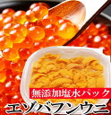 【ふるさと納税】エゾバフンウニ塩水パック130g×1P、いくら醤油漬150g×1P[2025年1月下旬以降発送] D-40050