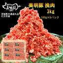 【ふるさと納税】【美明豚】挽肉(500g×6パック)(茨城県共通返礼品・行方市産)【配送不可地域：離島・沖縄県】【1447994】