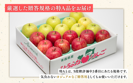 【レビューキャンペーン】年明け 贈答用 広船のサンふじ王林詰合せ約5kg・特A16～20玉 [hi-0004-007]