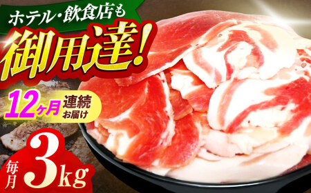 【12回定期便】猪肉切り落とし3kg(ぼたん鍋・煮込料理・野菜炒め用等)[OAJ027]猪肉ジビエ猪肉ジビエ猪肉ジビエ猪肉ジビエ猪肉ジビエ猪肉ジビエ