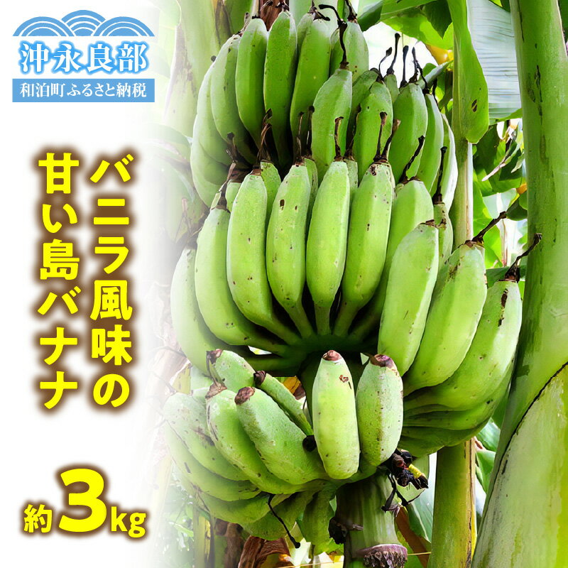 【ふるさと納税】 バニラ風味 の 甘い島バナナ 3kg 【2025年6月～2025年11月下旬】 アイスクリーム 栽培期間中 農薬 除草剤 不使用 バナナ 島バナナ フルーツ 果物 南国 期間 限定 甘い 沖永良部島 国産 沖田農園 鹿児島 和泊町 おすすめ ランキング プレゼント ギフト