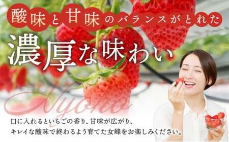 【来シーズン先行予約】亀岡産いちご 女峰 2箱 イチゴ