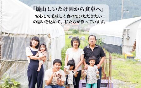 【定期便】【期間限定】 生しいたけ   肉厚1kg(約18~24個)×3ヶ月お届け 計3kg ジャンボ手のひらサイズ 焼山しいたけ園 農園直送 新鮮 椎茸 シイタケ お取り寄せ グルメ 国産 糸魚川 