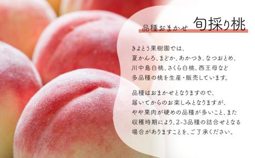 【2026年先行予約】厳選品 旬の桃（品種おまかせ） 5-8玉入 (岡山県産) 【KF-A015-02】