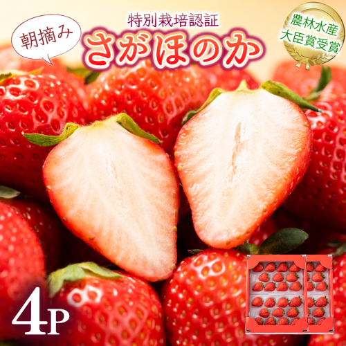 《先行予約・数量限定》あまい果汁溢れる最高級品質「さがほのか」約1kg（235g×4p）