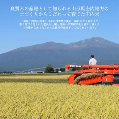 ふるさと納税 酒田市 令和7年産 はえぬき 精米 5kg 農産物検査員おすすめの庄内米 |  | 01