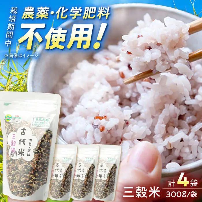 雑穀 古代米 三穀米 1.2kg /永尾 忠則 [UAS008] 雑穀米