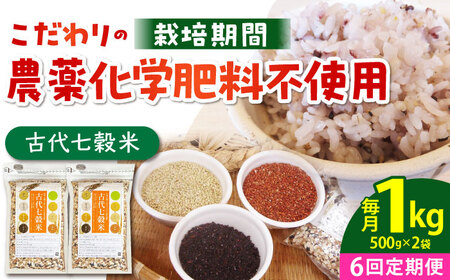 【全6回定期便】古代七穀米（500g×2個セット） [HAG009] 七穀米 雑穀 定期便