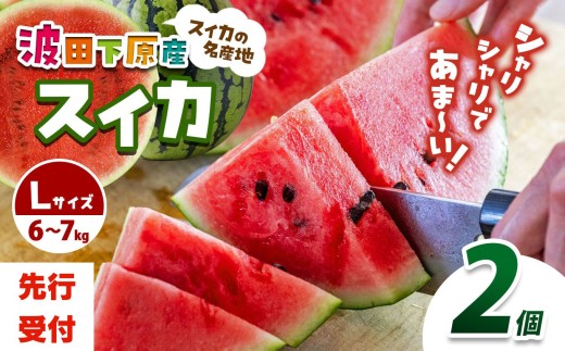 【先行受付：2026年発送】Heart-Landﾉﾑﾗ　波田下原産スイカ Lサイズ　2個（6～7ｋｇ）×2 |ふるさと納税 フルーツ 果物 スイカ 西瓜 波田スイカ 下原スイカ 夏 旬のスイカ 大玉スイカ シャリ感 野菜 長野県 松本市 人気 オススメ 先行受付 令和8年 発送