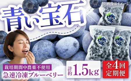 【全4回定期便】青い宝石 国産 急速冷凍ブルーベリー 計約1.5kg（約500g×3袋） 果物 くだもの フルーツ ぶるーべりー 熊本県 菊陽町【アグファーム株式会社】[BHCX015]