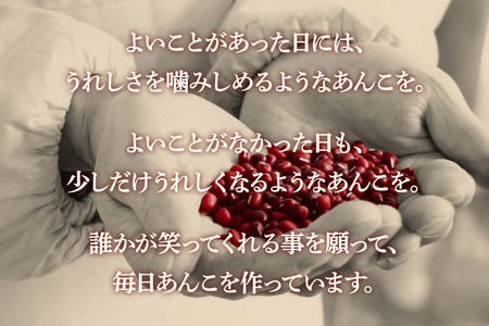 粒あん 340g×5袋 秋田県 仙北市 和菓子 製菓材料