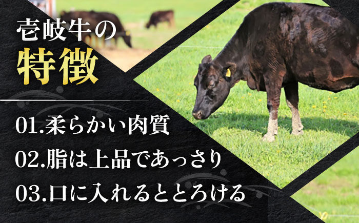 壱岐牛 切り落し （250g×4パック） 《壱岐市》【長崎フードサービス】 スネ肉 1kg 牛肉 牛 精肉 焼肉 すき焼き 16000 16000円 [JEP004]