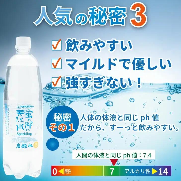 【定期便】 (年6回/隔月お届け) 蛍の郷の天然すい（炭酸水500mlｘ24本) x 3ケース 偶数月  炭酸 Q108-003
