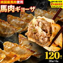 【ふるさと納税】馬肉 餃子 ギョーザ 120個 30個 × 4袋《30日以内に出荷予定(土日祝除く)》熊本県 玉東町 純国産馬肉 簡易包装 熊本肥育 ぎょうざ 馬