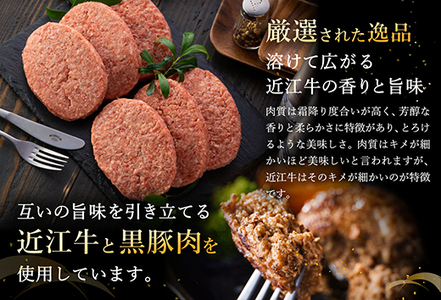 【2月末までに発送】【溢れる肉汁で大人気！】近江牛と黒豚のハンバーグ【900ｇ（150ｇ×6個）】【AF01SM-2m】